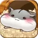 仓鼠的日常Hamster Life中文