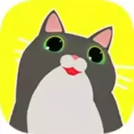 快点给我猫