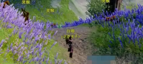 《剑网3》重制版韶华故奇遇攻略