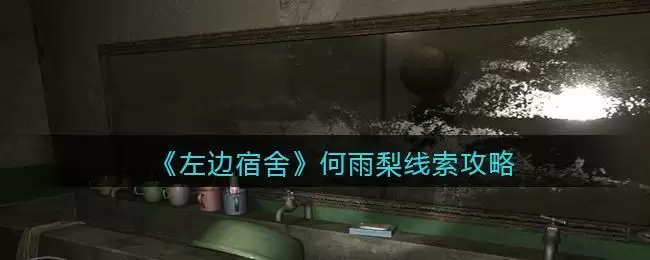 《孙美琪疑案：左边宿舍》四级线索——何雨梨