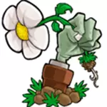 植物大战僵尸北美