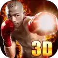 真正拳击对决3D