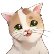 猫咪流浪记