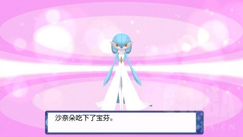 《宝可梦晶灿钻石明亮珍珠》顶级宝芬制作及全满华丽度完美方案攻略