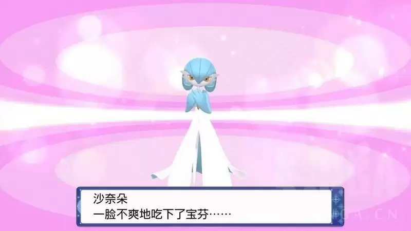 《宝可梦晶灿钻石明亮珍珠》顶级宝芬制作及全满华丽度完美方案攻略