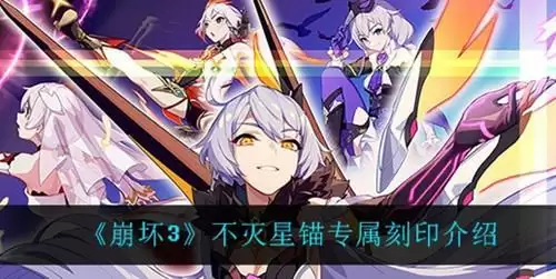 《崩坏3》不灭星锚专属刻印是什么