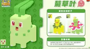 《宝可梦大探险》手游菊草叶怎么样