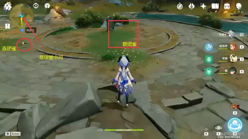 原神动物位置大全汇总分享