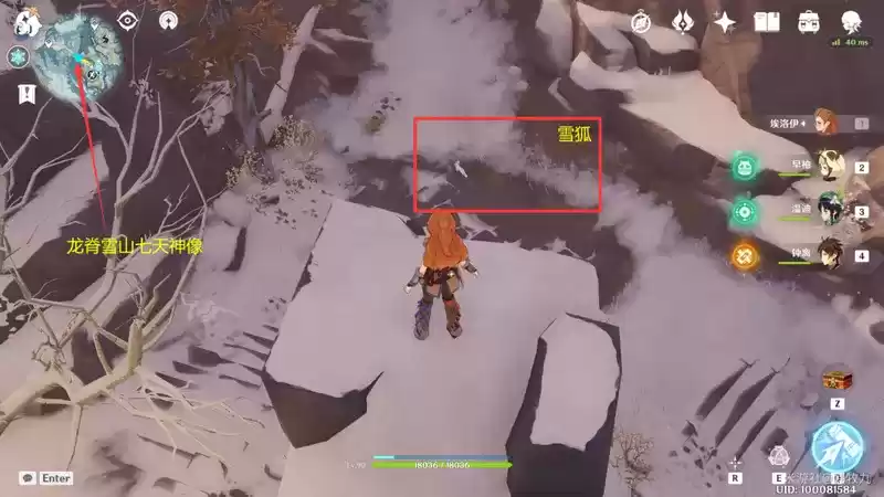 原神动物位置大全汇总分享