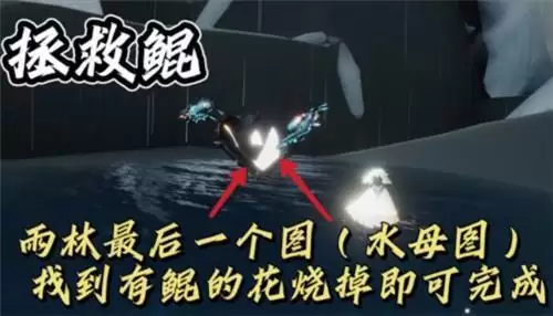 光遇12.7每日任务完成攻略2021
