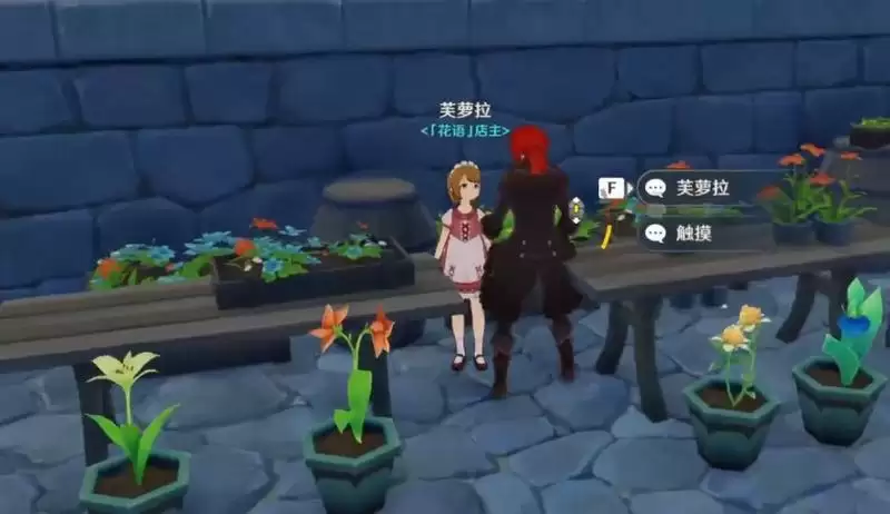 小灯草在哪个npc可以买