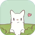 猫与汤