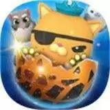 毛球萌宠明星大集结