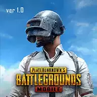 Pubg国际服