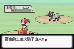 口袋妖怪白金光攻略图