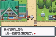 口袋妖怪白金光攻略图