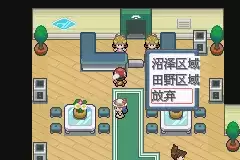 口袋妖怪白金光攻略图