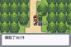 口袋妖怪白金光攻略图