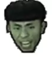 植物大战僵尸老八火麒麟