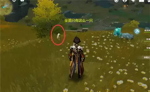 《原神》靴子鼬在哪捕捉