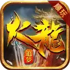 顺玩追梦火龙新