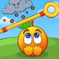 保护橘子