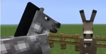 如何繁殖能得到骡子？我的世界骡子的繁衍介绍