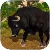 野生愤怒的公牛