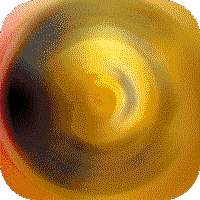 精灵战纪送GM无限抽