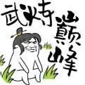 武炼巅峰