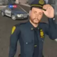 巡警执法模拟器