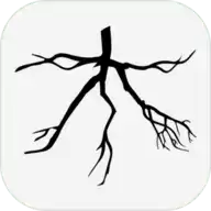 木branch