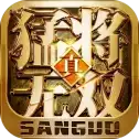 真三国猛将无双