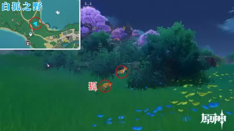 《原神》四方八方雪狐捕捉位置分享