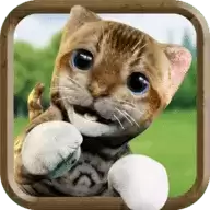 可爱的猫模拟器