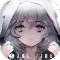 灵魂潮汐wiki