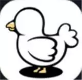小鸡真奇怪