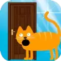 开门不要打扰猫