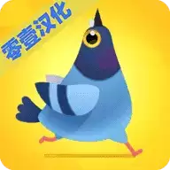 疯狂的鸽子