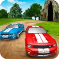 赛车拉力锦标赛