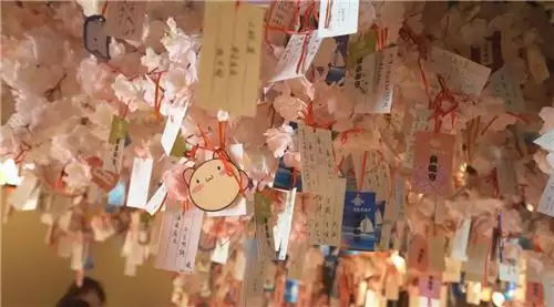 2022年第一天怎么过，去《彩虹岛》泡温泉吧！