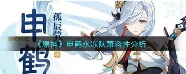 《原神》申鹤永冻队兼容性分析