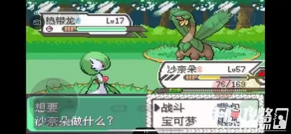 《口袋妖怪究极绿宝石5》全道路分布精灵图鉴大全