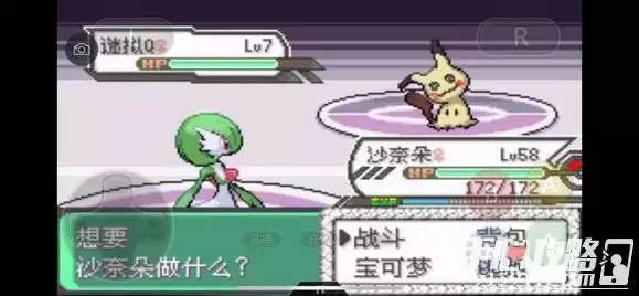 《口袋妖怪究极绿宝石5》全道路分布精灵图鉴大全