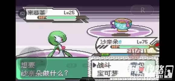 《口袋妖怪究极绿宝石5》全道路分布精灵图鉴大全