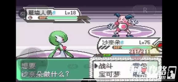 《口袋妖怪究极绿宝石5》全道路分布精灵图鉴大全