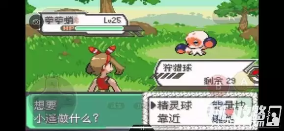 《口袋妖怪究极绿宝石5》全道路分布精灵图鉴大全