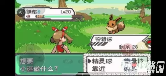 《口袋妖怪究极绿宝石5》全道路分布精灵图鉴大全