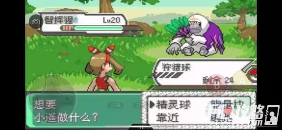 《口袋妖怪究极绿宝石5》全道路分布精灵图鉴大全