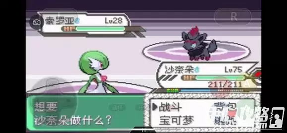 《口袋妖怪究极绿宝石5》全道路分布精灵图鉴大全